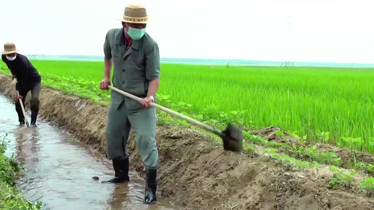 [요즘 북한은] ‘재해성 이상기후’에 알곡 생산 노심초사 외