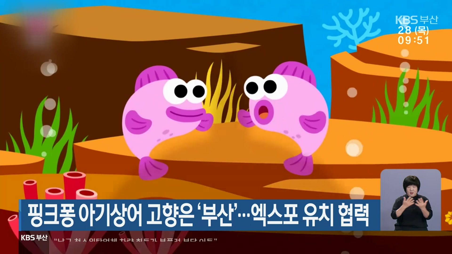 핑크퐁 아기상어 고향은 ‘부산’…엑스포 유치 협력