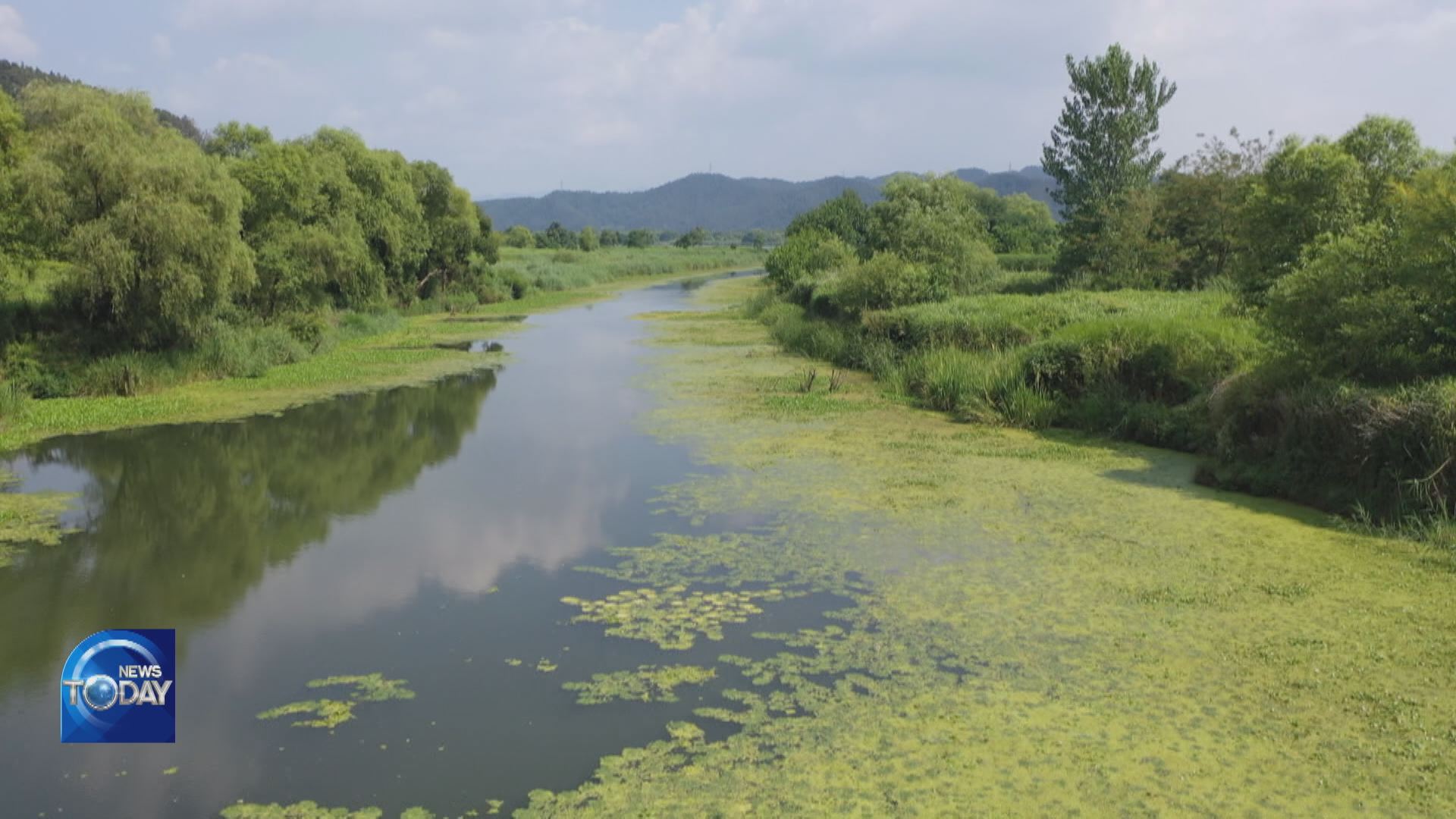 SOUTHERN REGIONS SUFFER GREEN TIDES