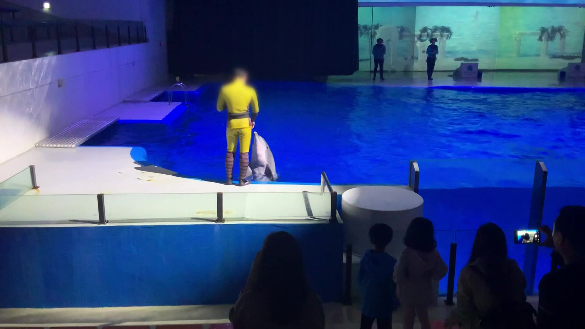 [사사건건] 수족관 속 마지막 남방큰돌고래 17년 만에 바다로!