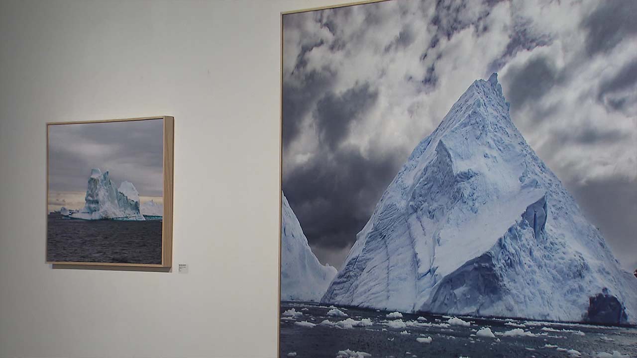 [주말&문화] 때 묻지 않은 절대 순수의 세계…사진으로 만나는 ‘남극’
