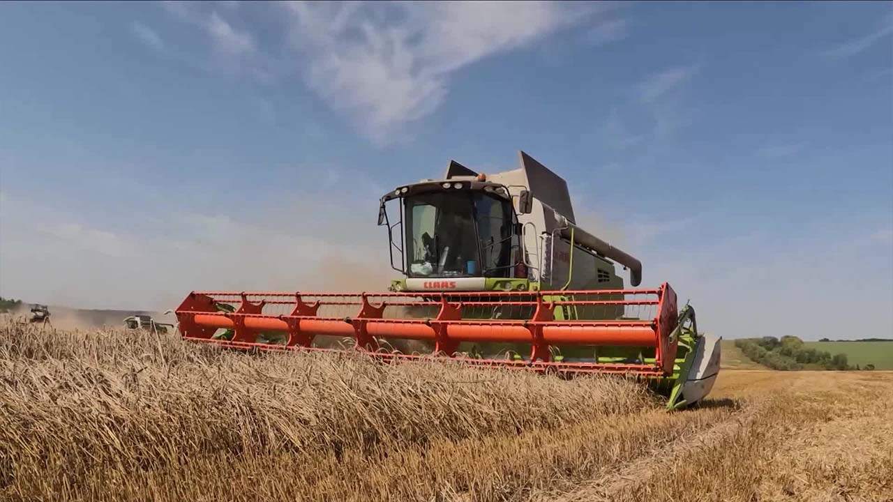 러시아, 밀 수확 역대급 생산…농산물 수출 원활하지 않아