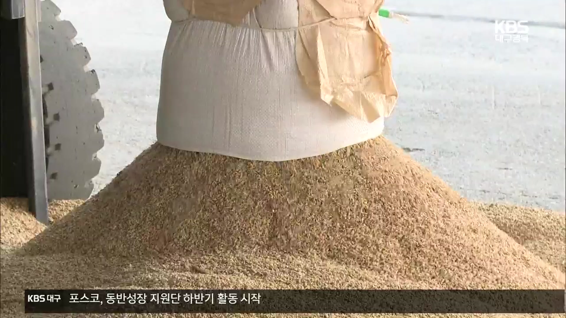 [여기는 포항] ‘포항 쌀’ 수출 확대…쌀값 폭락 돌파구 될까?