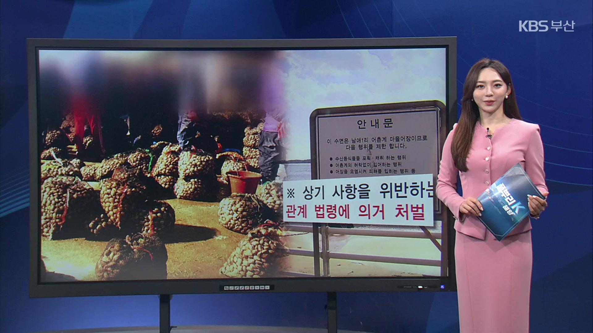 [풀뿌리 해양K] 불법 해루질, 어민·해녀 피해 속출 외