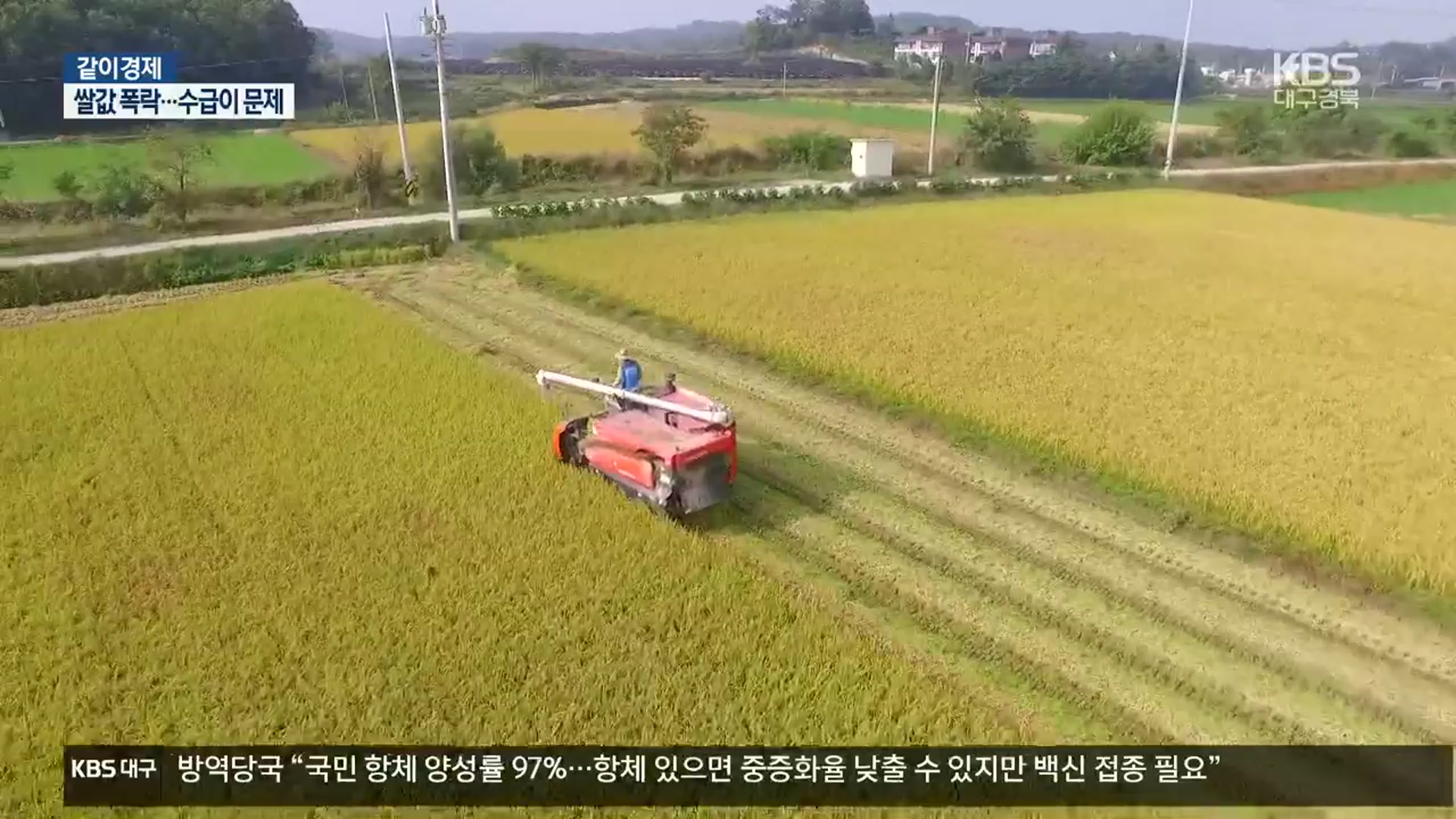 [같이경제] 쌀값 폭락…수급이 문제
