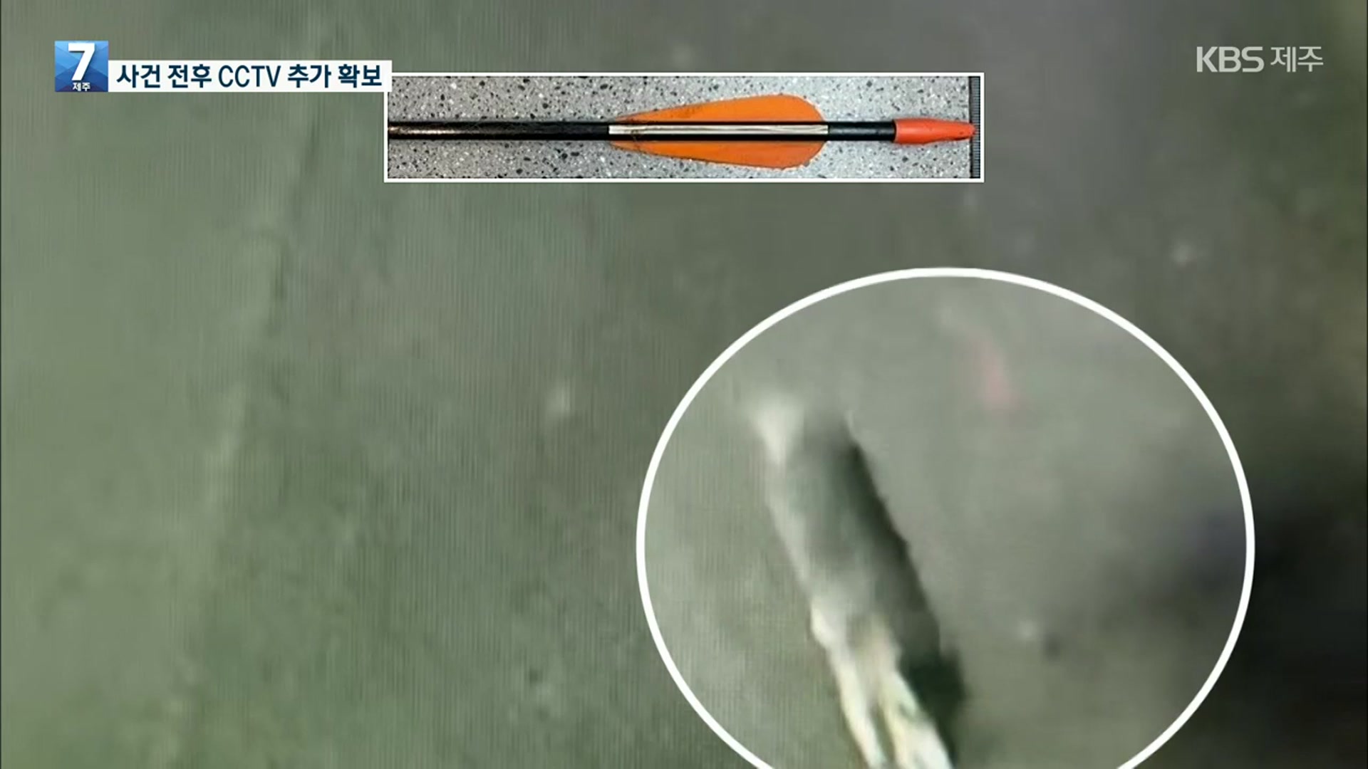 ‘화살 관통’ 개 학대범 잡힐까?…CCTV 추가 확보