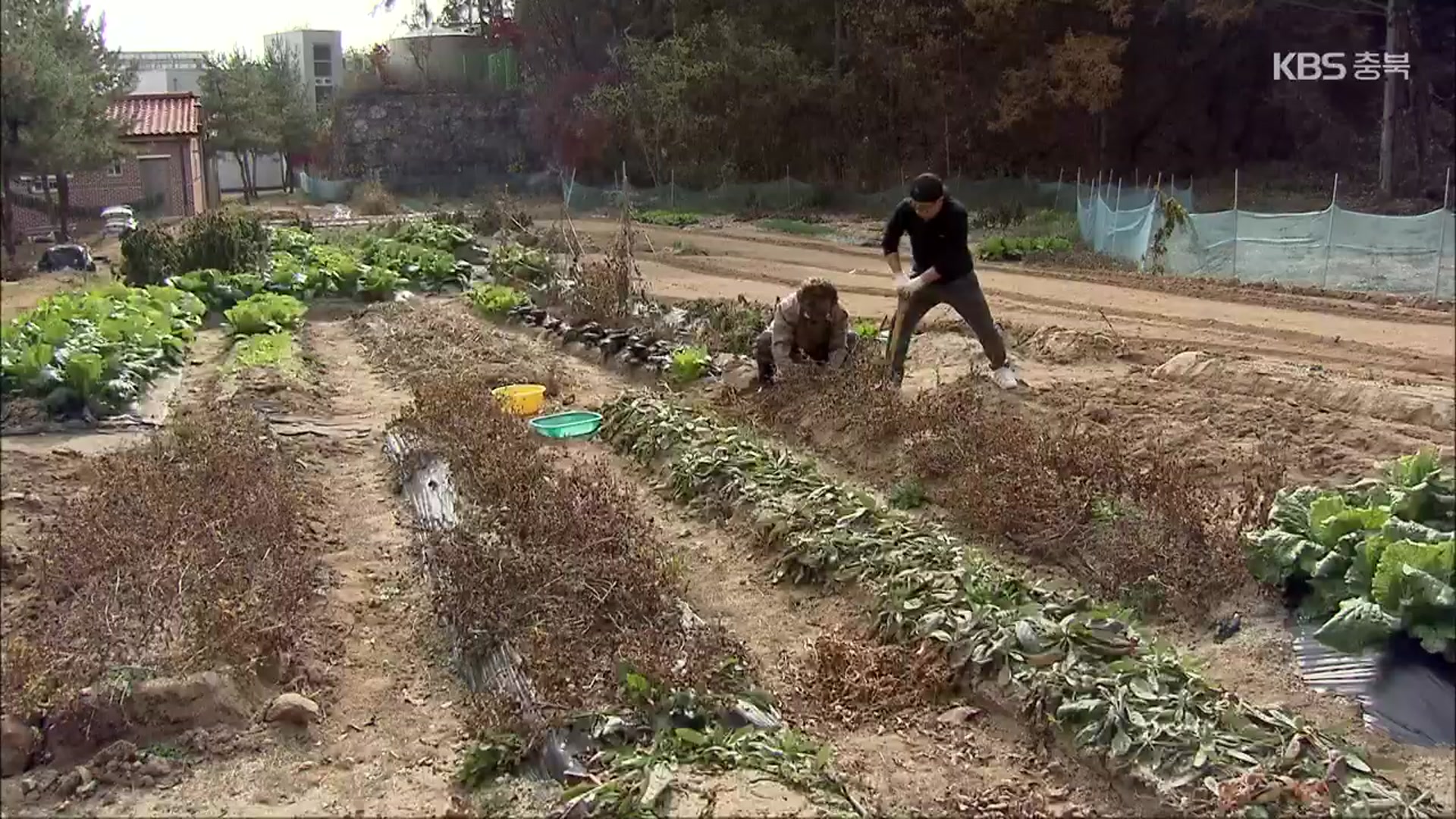 [여기는 충주] 농사에서 농지 취득까지 배우는 ‘귀농·귀촌센터’ 인기