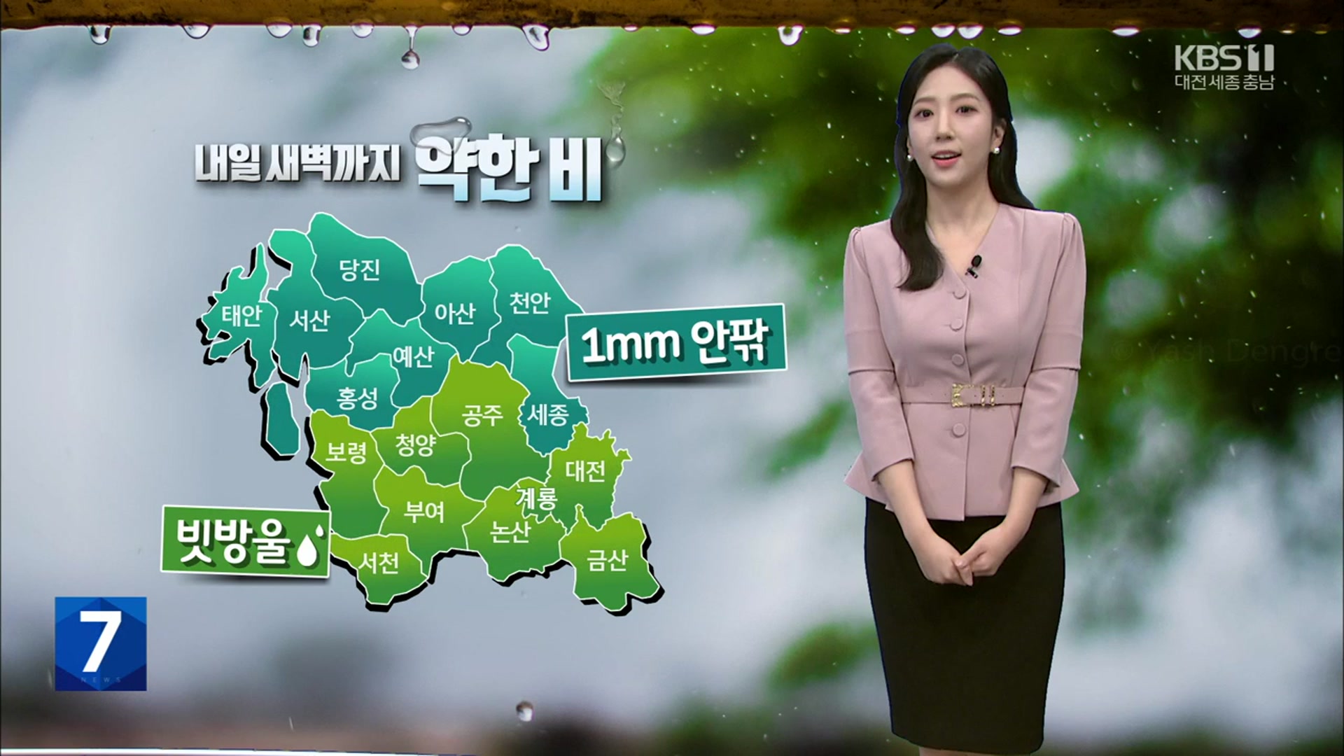[날씨] 대전·세종·충남 내일 새벽까지 빗방울…모레 수능, 큰 일교차