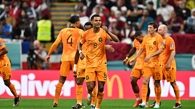 월드컵 A조 ‘각포 3경기 연속골’ 네덜란드 1위로 16강…세네갈도 16강