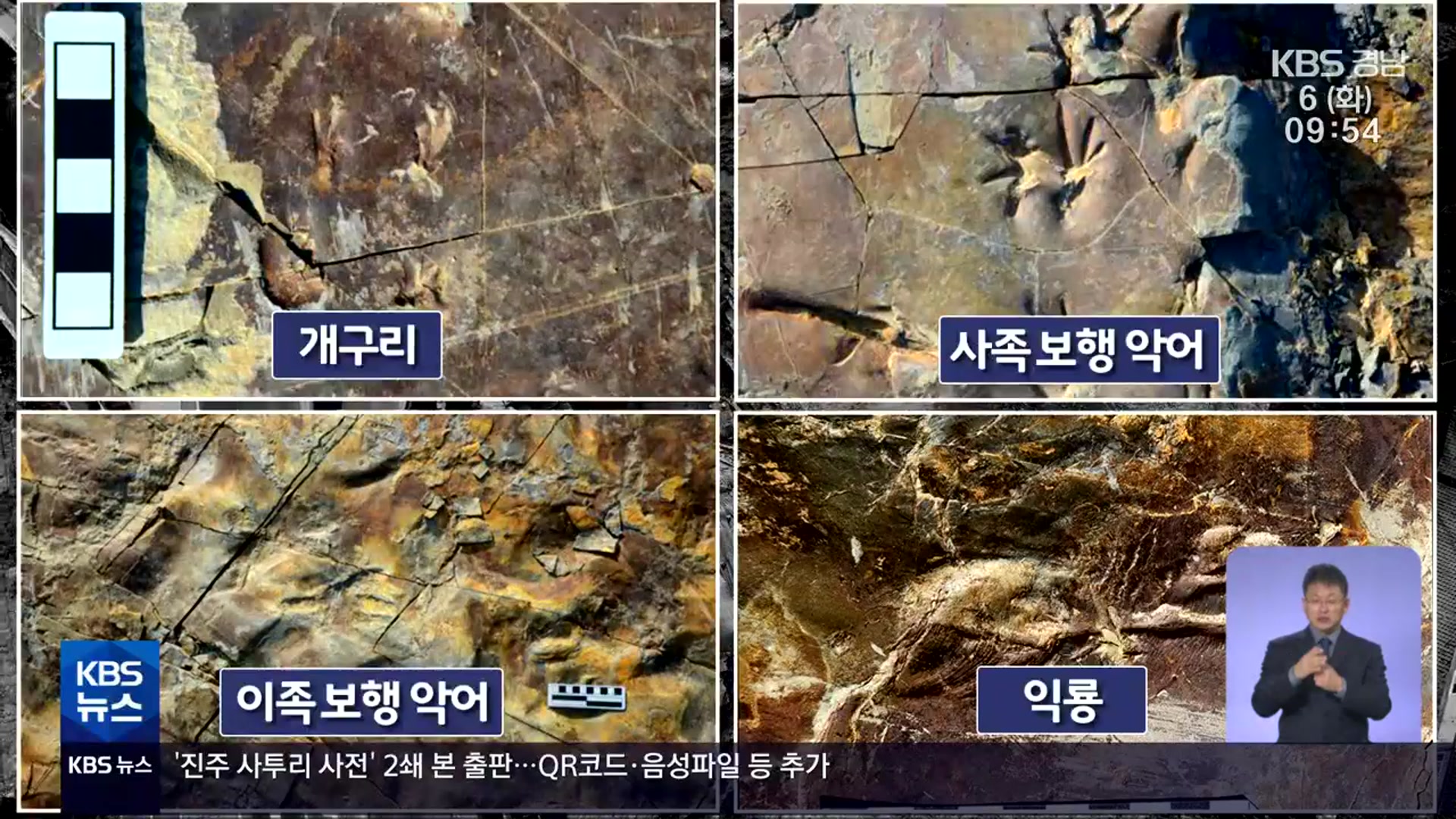 백악기 개구리 발자국 100여 개 화석…문화재청 “이전 보존”
