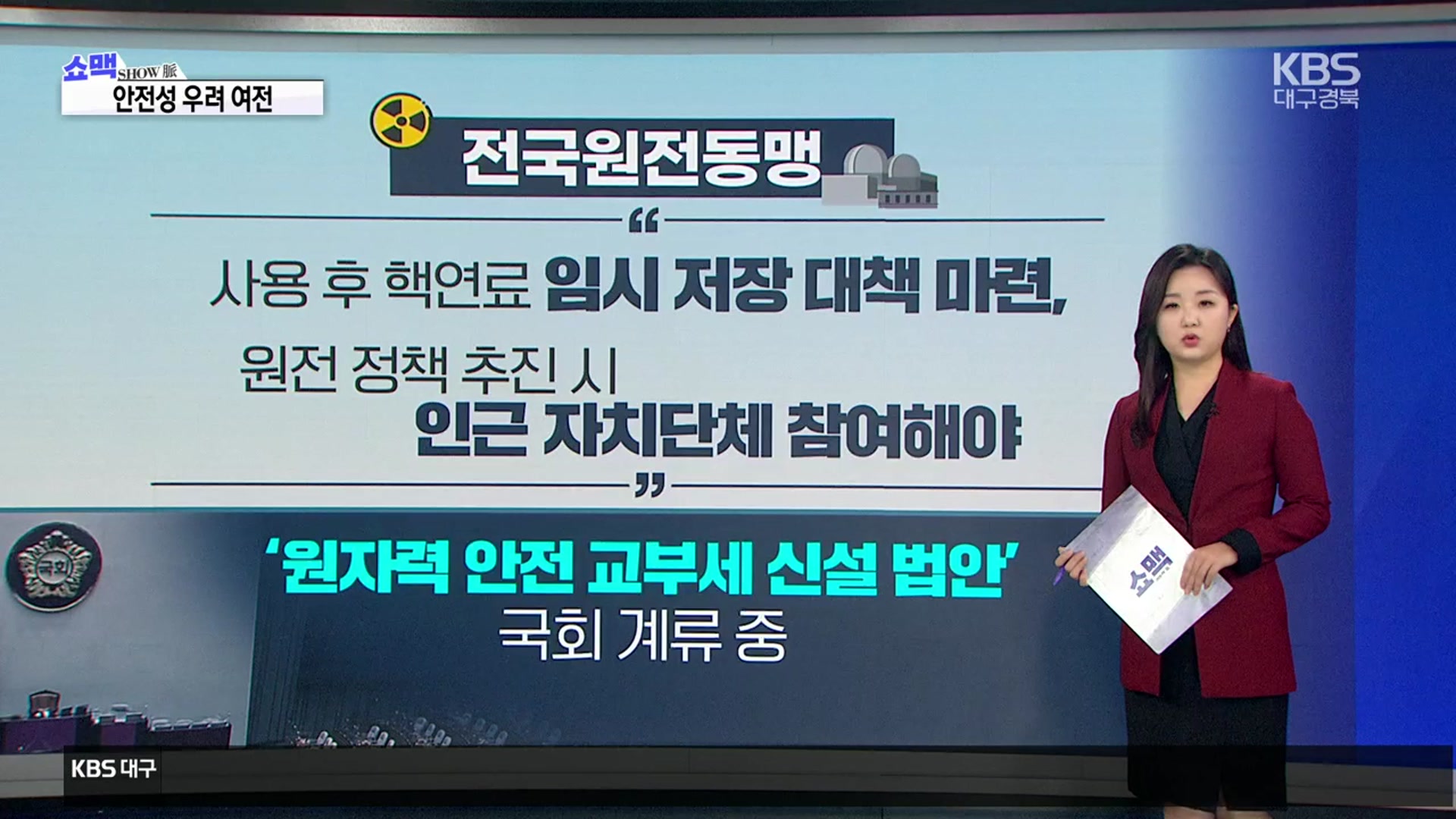 [쇼맥] ‘원전 강국’ 추진하는 정부…안전 대책은?