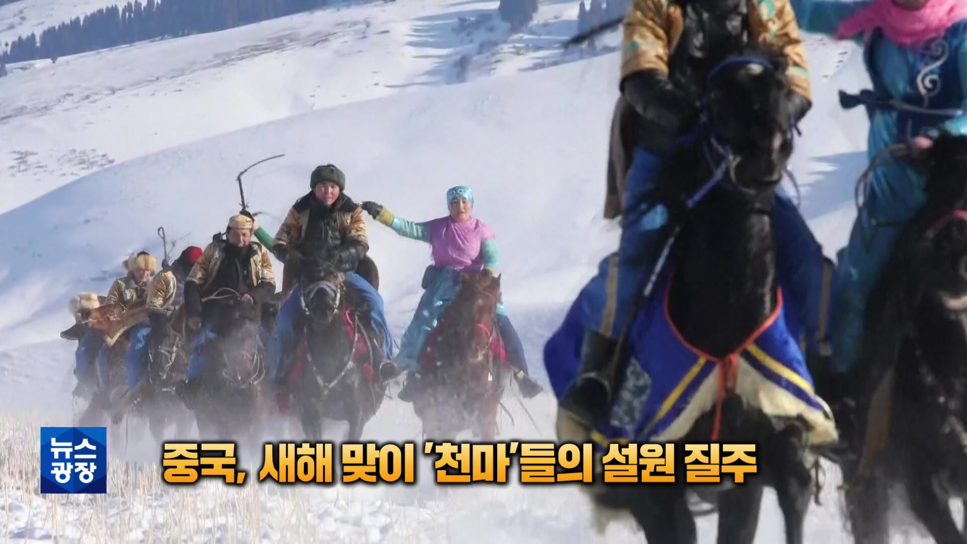 [톡톡 지구촌] 중국 신장서 새해 맞이 ‘천마’들의 질주