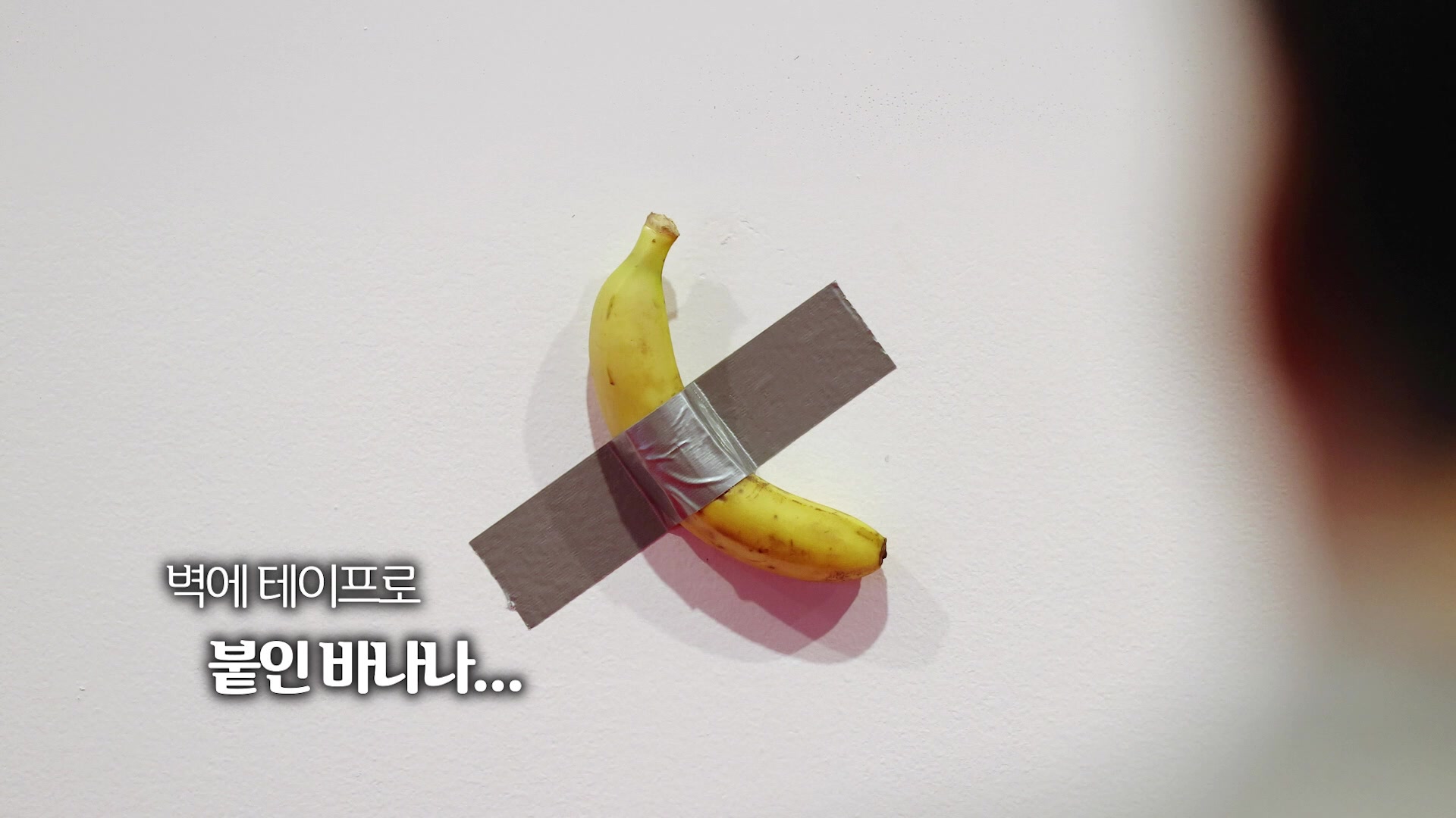 [오늘의 영상] ‘미술계 악동’ 마우리치오 카텔란의 국내 첫 개인전!