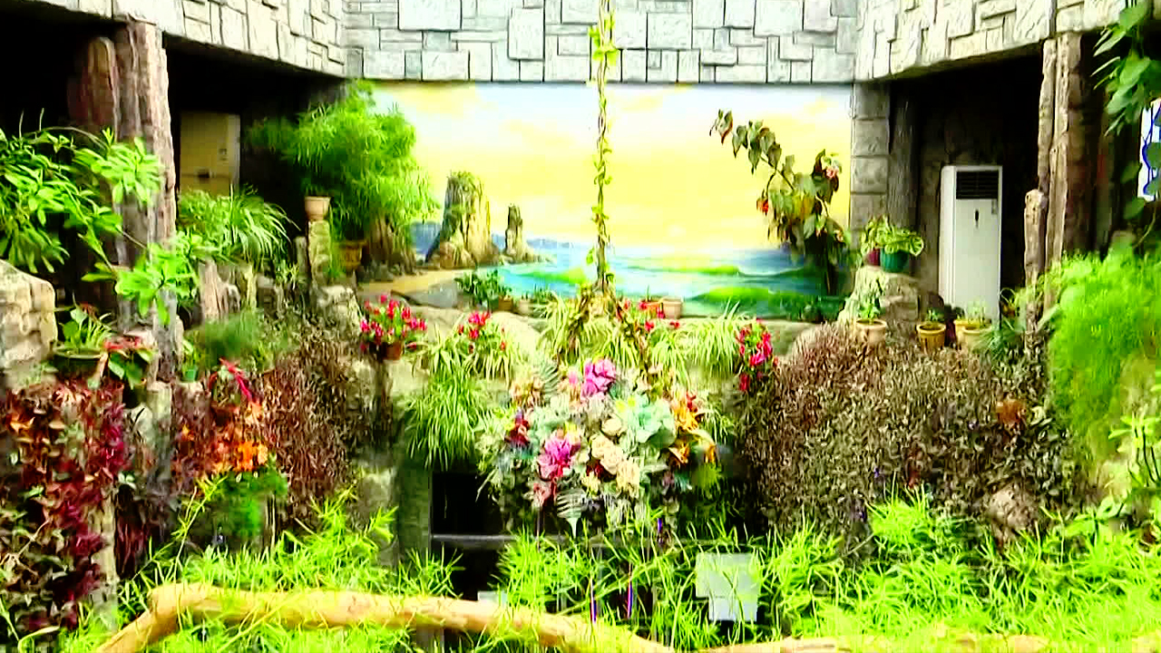 [북한 영상] 겨울 속 봄 온실 식물원