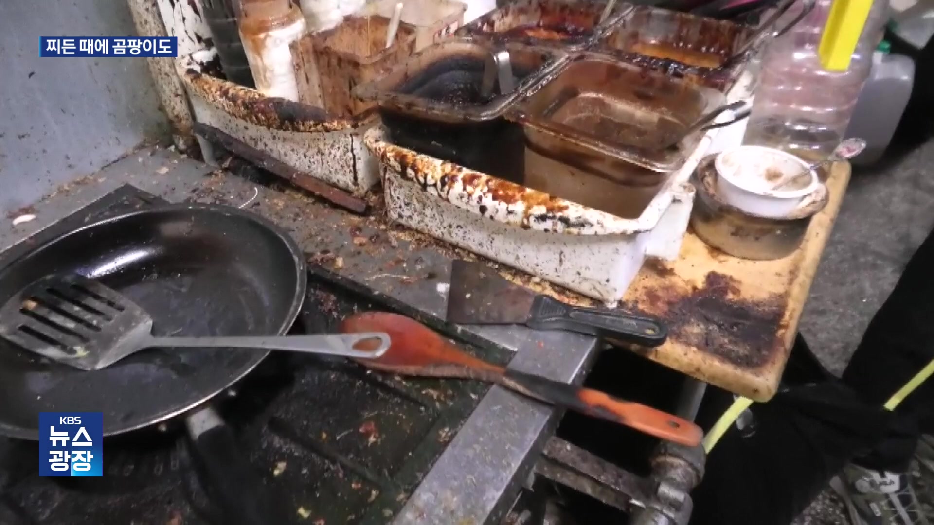선팅지로 가린 배달 야식집…‘밥맛 떨어지는’ 위생 상태