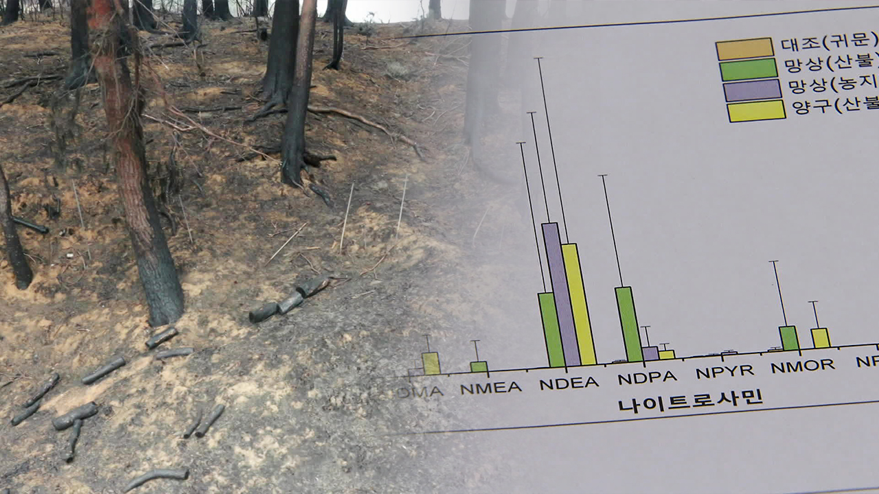 산불 피해지 토양에서 ‘발암 물질’…“최대 100배 검출”