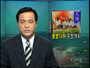 대서인 23일, 전국이 찜통더위