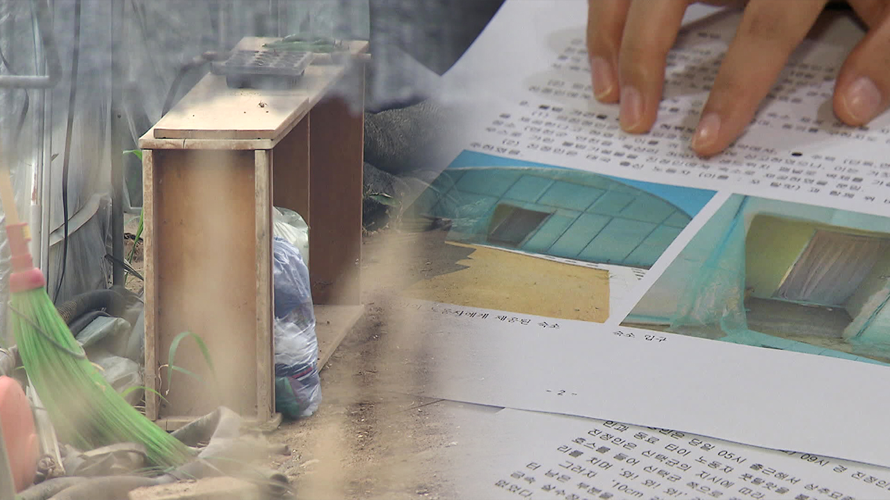 생 마감한 캄보디아 노동자…또 ‘비닐하우스’에서 살았다