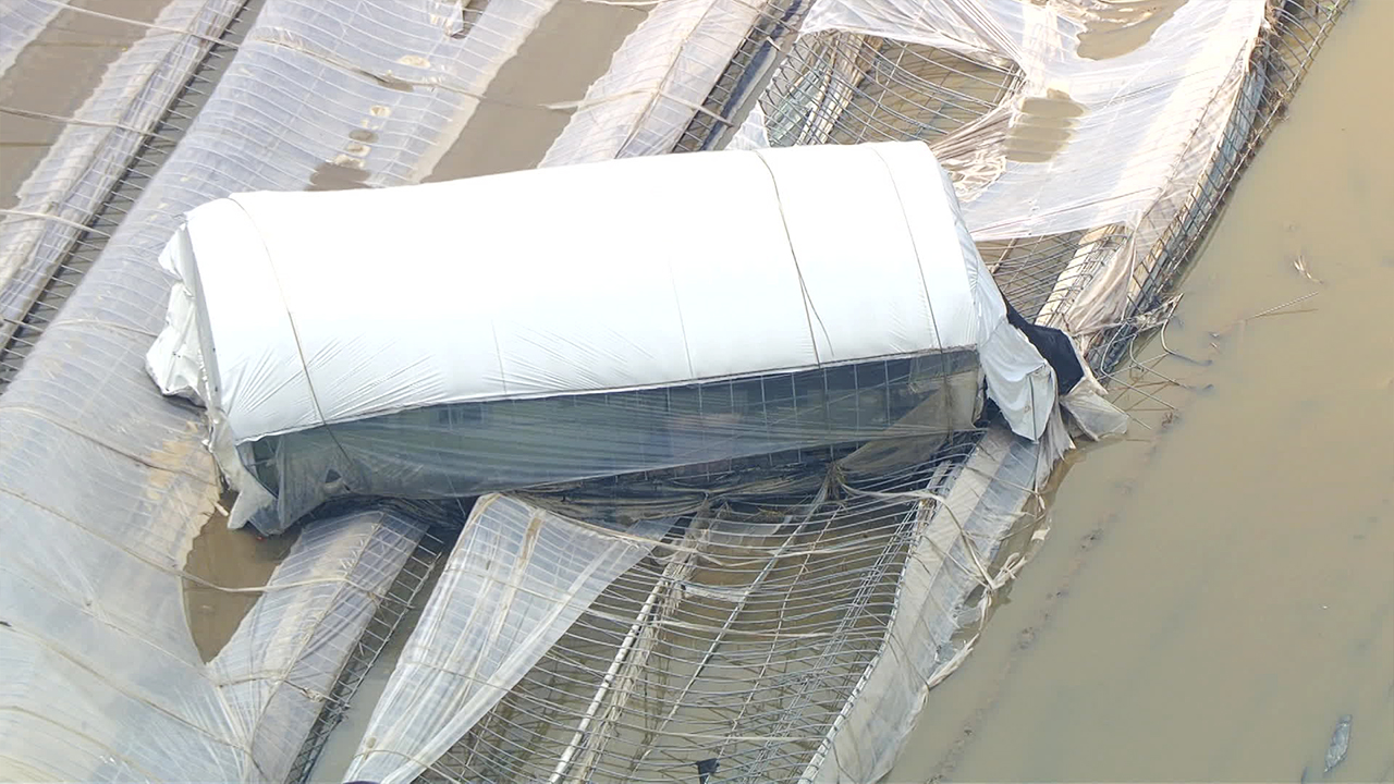 무너진 둑, 물에 잠긴 비닐하우스…하늘에서 본 장마 피해