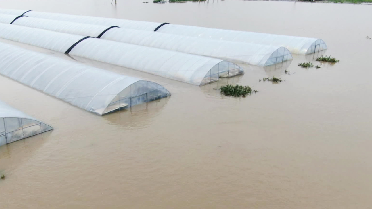 폭우에 폭염, 전쟁까지…식량 위기 가속화 [경제대기권]