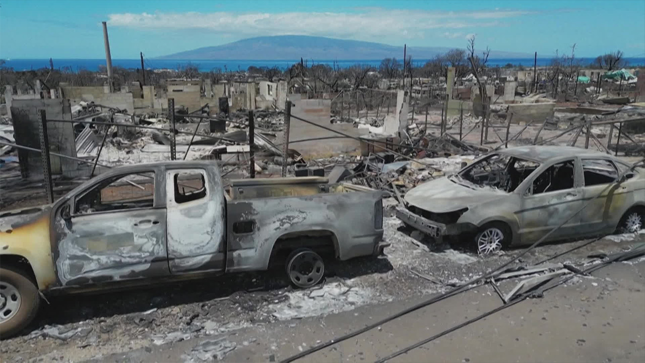 하와이 산불 사망자 80명으로…교민 피해도 상당