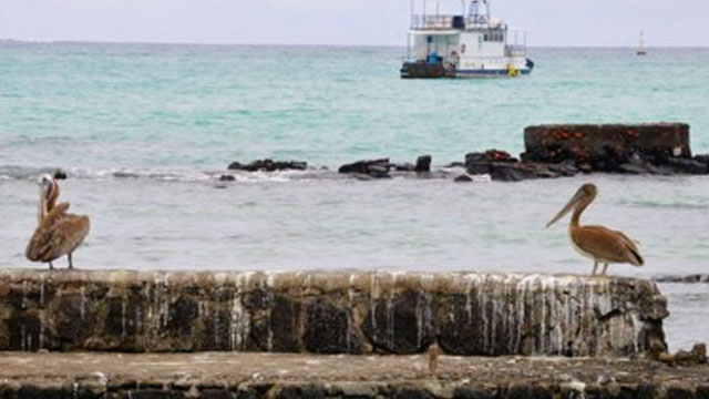 갈라파고스 해상서 미국 등 12개국 해군 훈련…“중국 불법조업 겨냥”