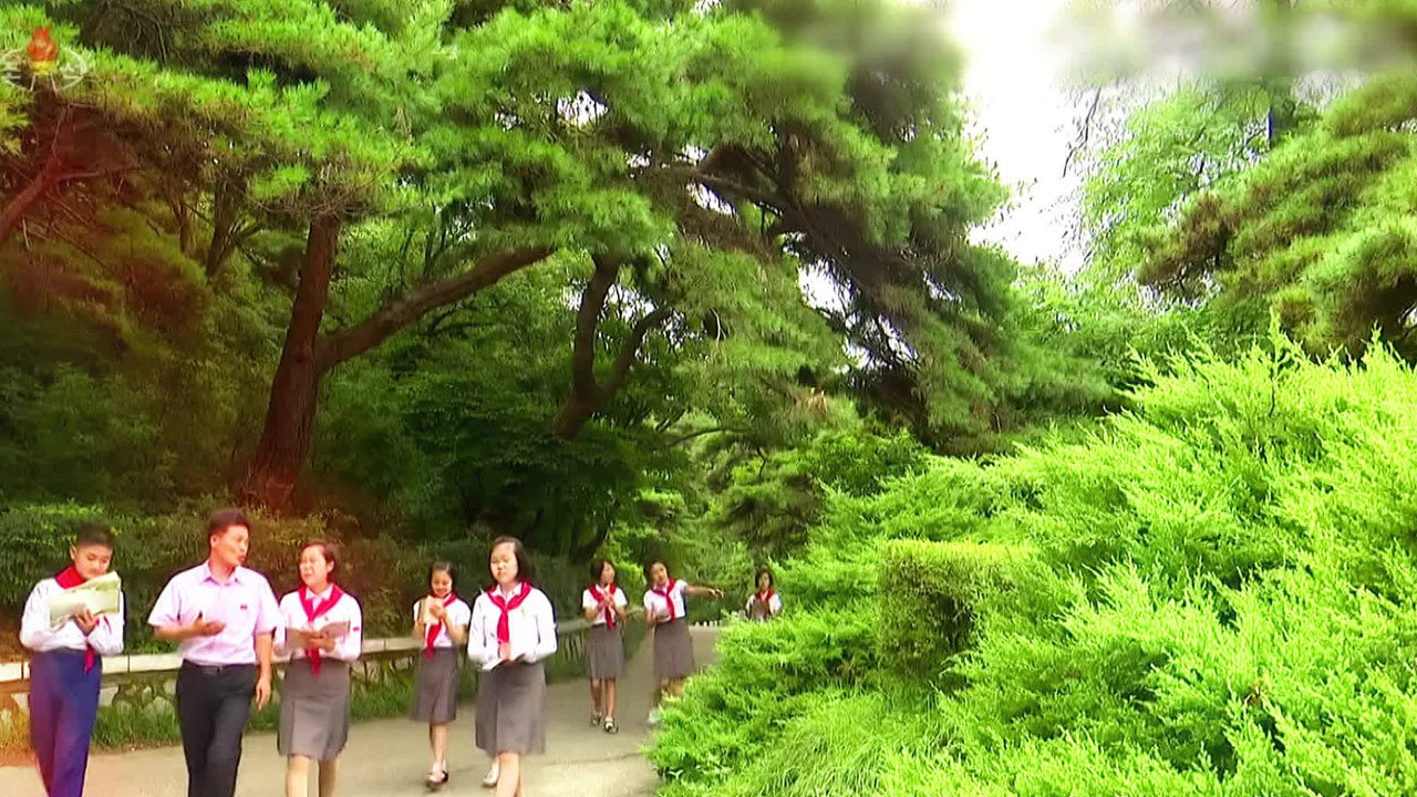 [북한 영상] 늘 푸른 소나무