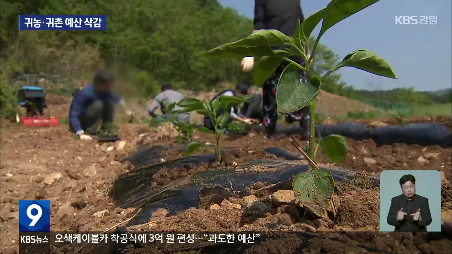 귀농·귀촌 주는데 국비 예산까지 싹둑