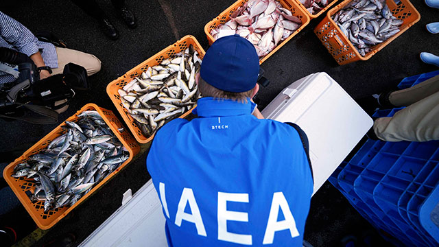 IAEA, 오염수 방류 후 후쿠시마 수산물 첫 조사…한중일 개별분석