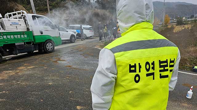 강원 횡성·경기 연천도 럼피스킨병 발생…14개 시군·42개 농가