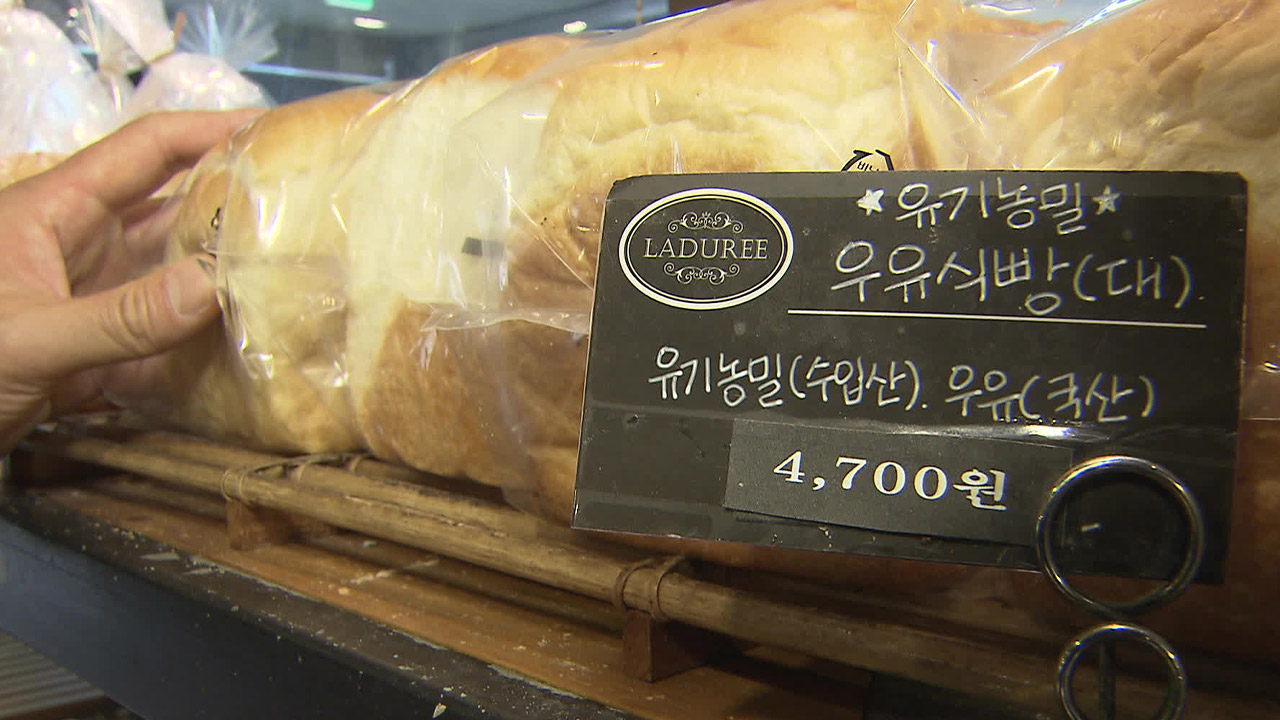 “제과점 빵 한 개에 5천 원”…‘빵플레이션’ 붕어빵까지 여파