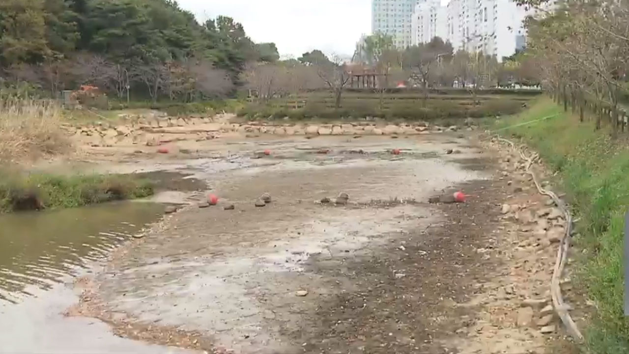 바닥 드러낸 풍암호수…이유는?