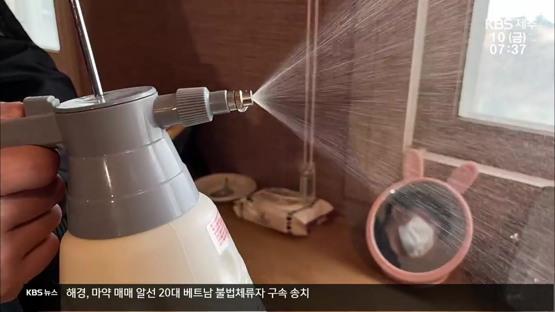 잇단 빈대 신고에 관광지 제주 ‘긴장’…관광객 ‘불안’