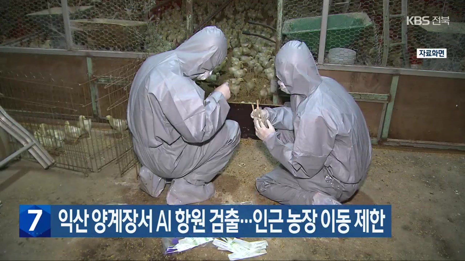 익산 양계장서 AI 항원 검출…인근 농장 이동 제한