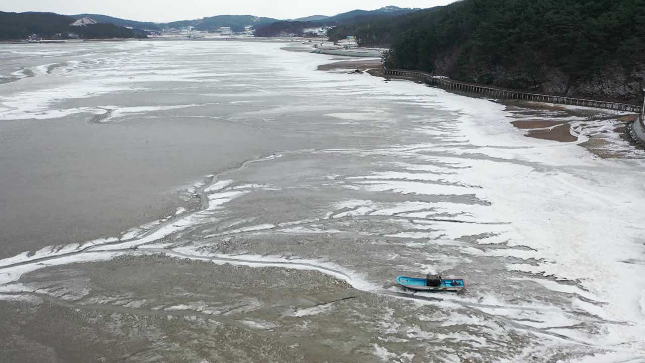 바다까지 얼었다…화훼·축산농가도 피해