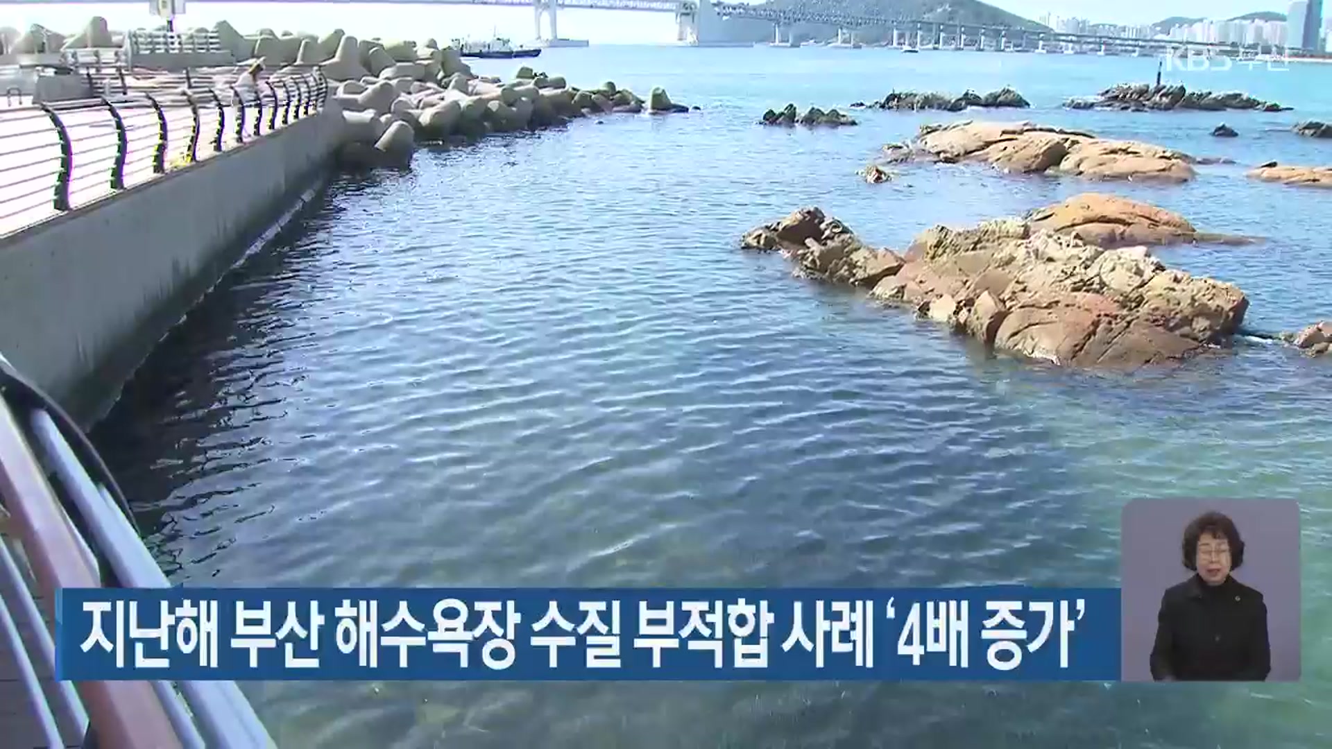 지난해 부산 해수욕장 수질 부적합 사례 ‘4배 증가’