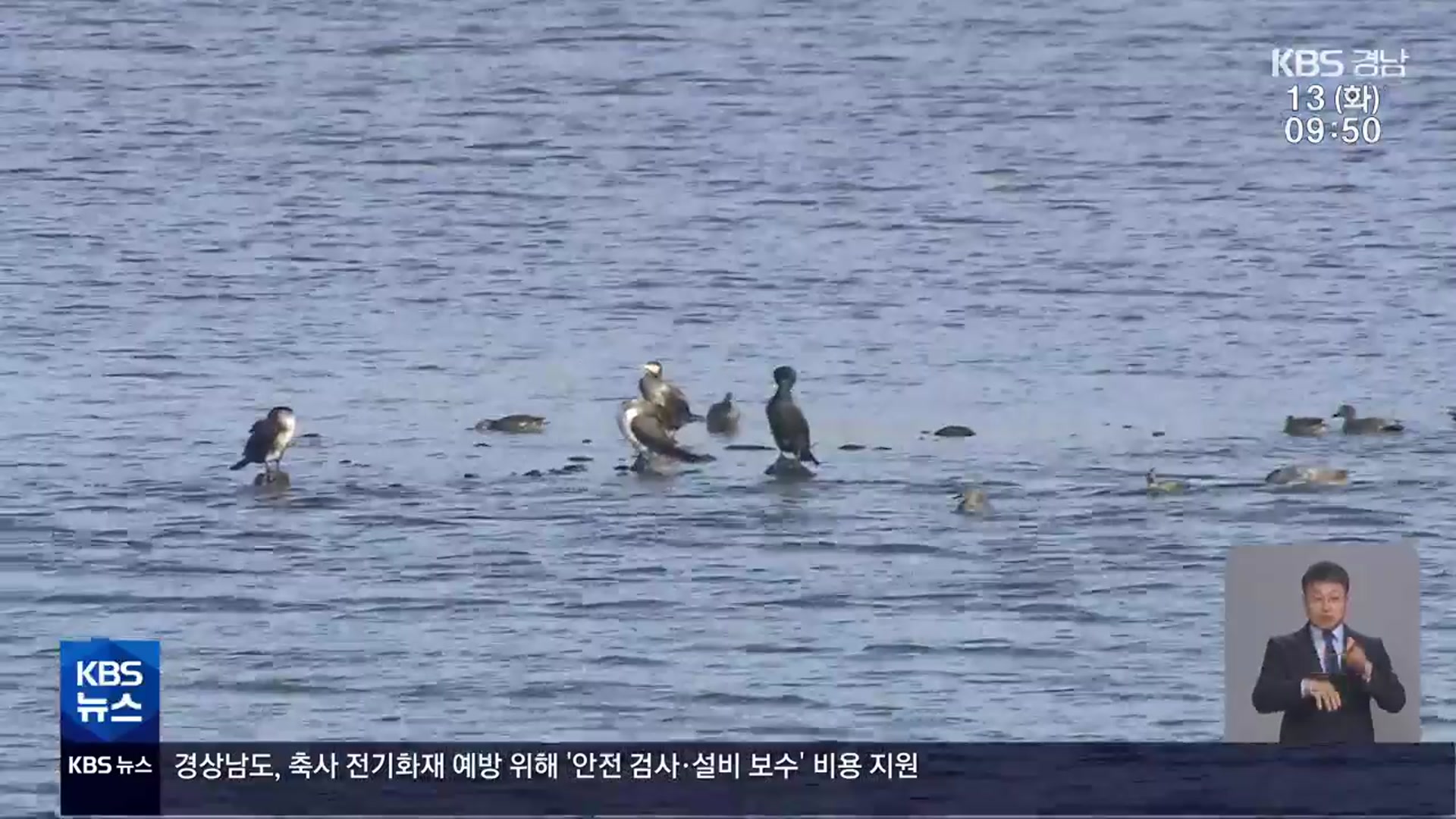 겨울엔 독수리 여름엔 백로…‘조류 사파리’ 운영