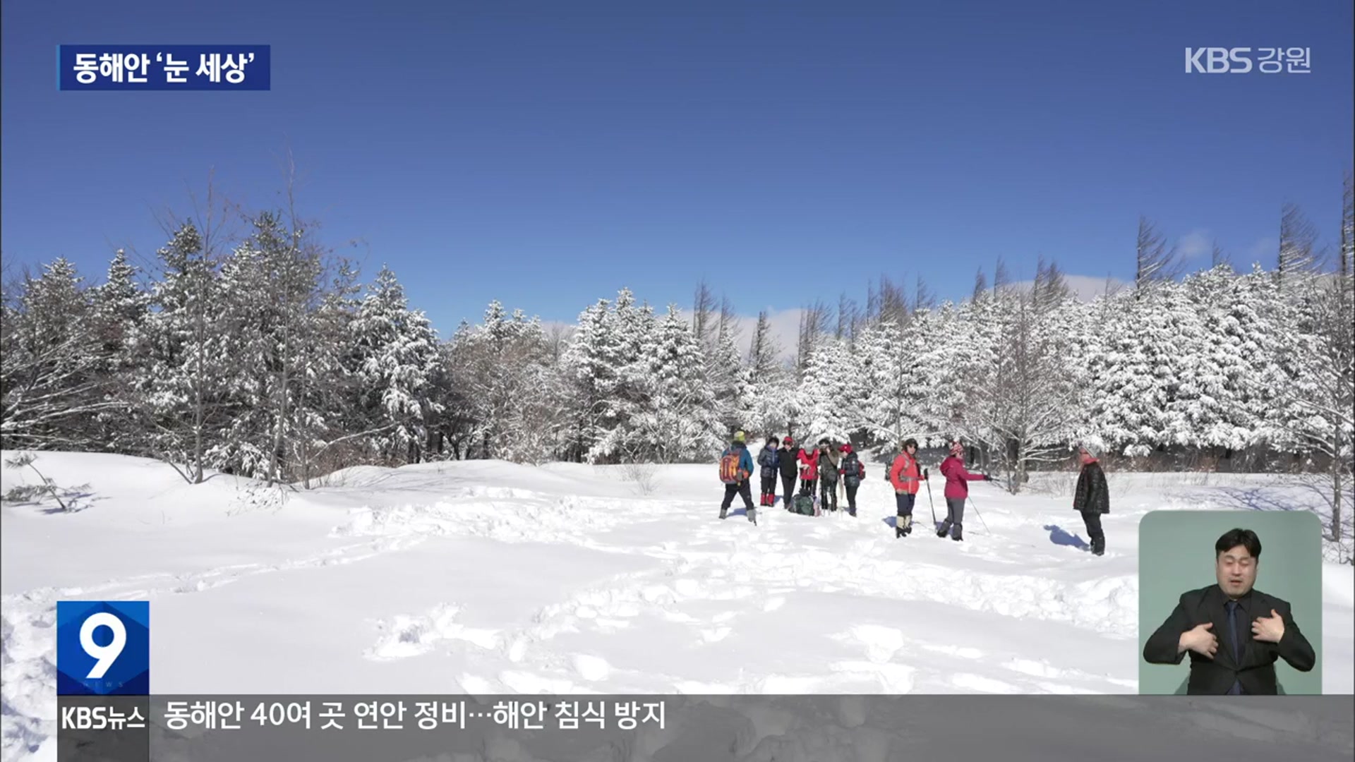 봄 앞둔 강원 동해안 ‘눈 세상’…설경 장관