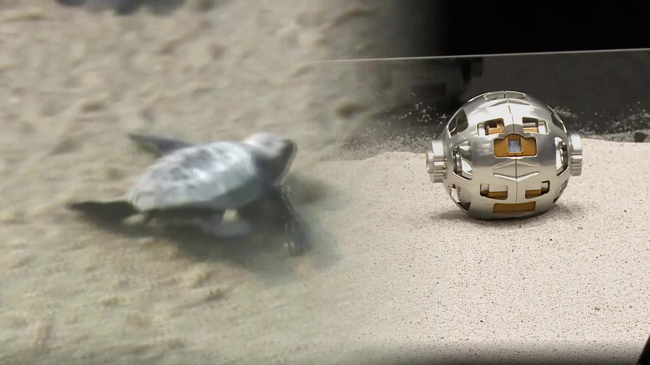일본 ‘장난감 변신기술’ 달 탐사 로봇에…‘목재 위성’까지