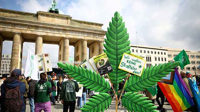 독일, 4월부터 대마초 합법화…25g 소지·3그루 재배