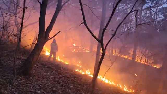 인천 서구 한 야산서 불…‘원인 조사 중’