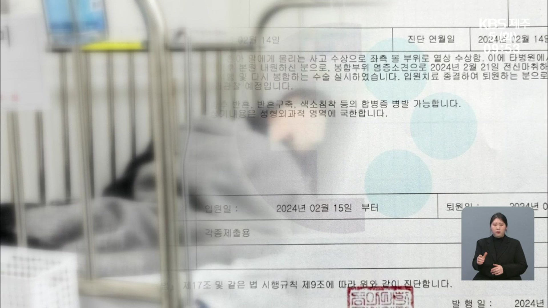 말에 물린 7살 어린이…체험장은 보험 사각지대?