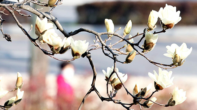 전국 맑고 포근한 날씨…동해안 건조특보