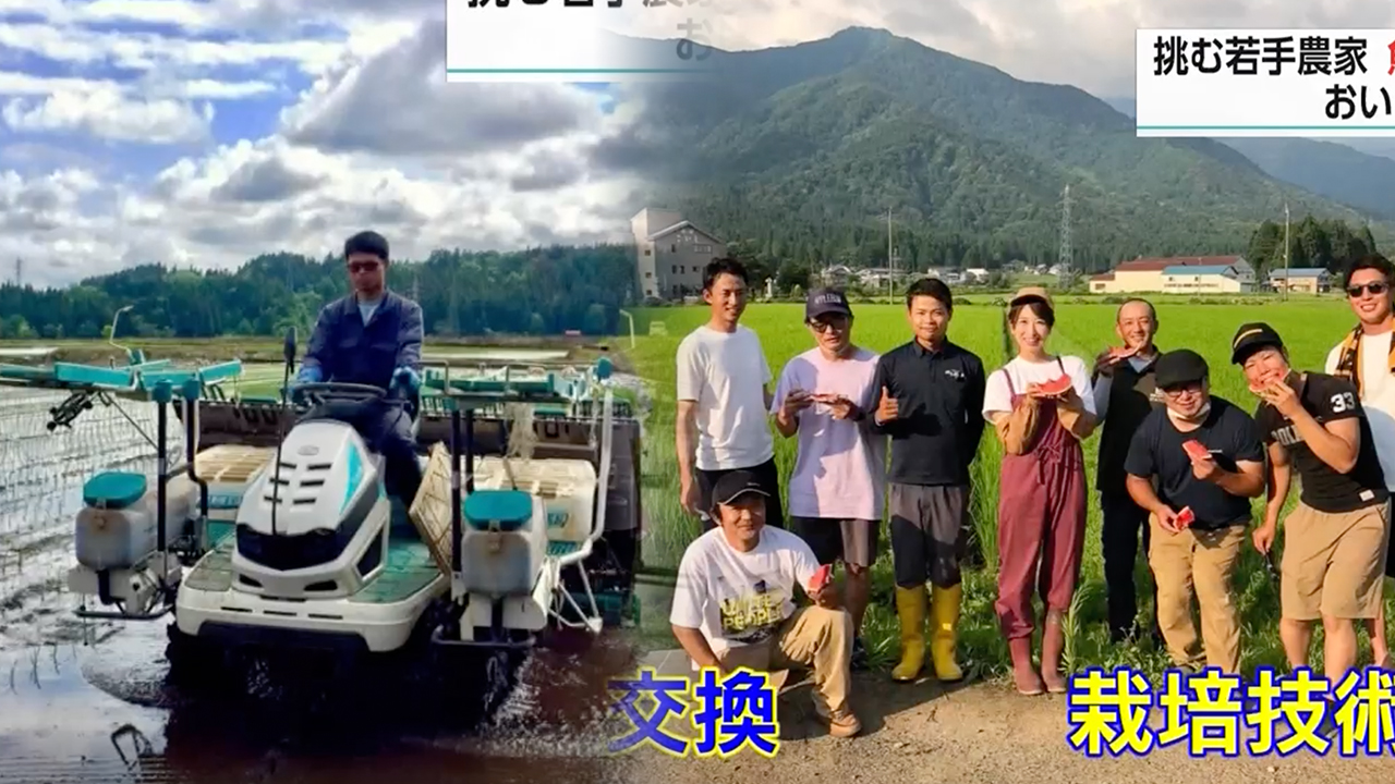 일본, 벼농사에 매진하는 젊은 농민들