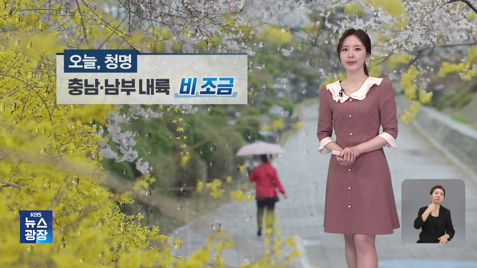 [출근길 날씨] 충남·남부 내륙에 비…오전에 충청·남부 짙은 안개