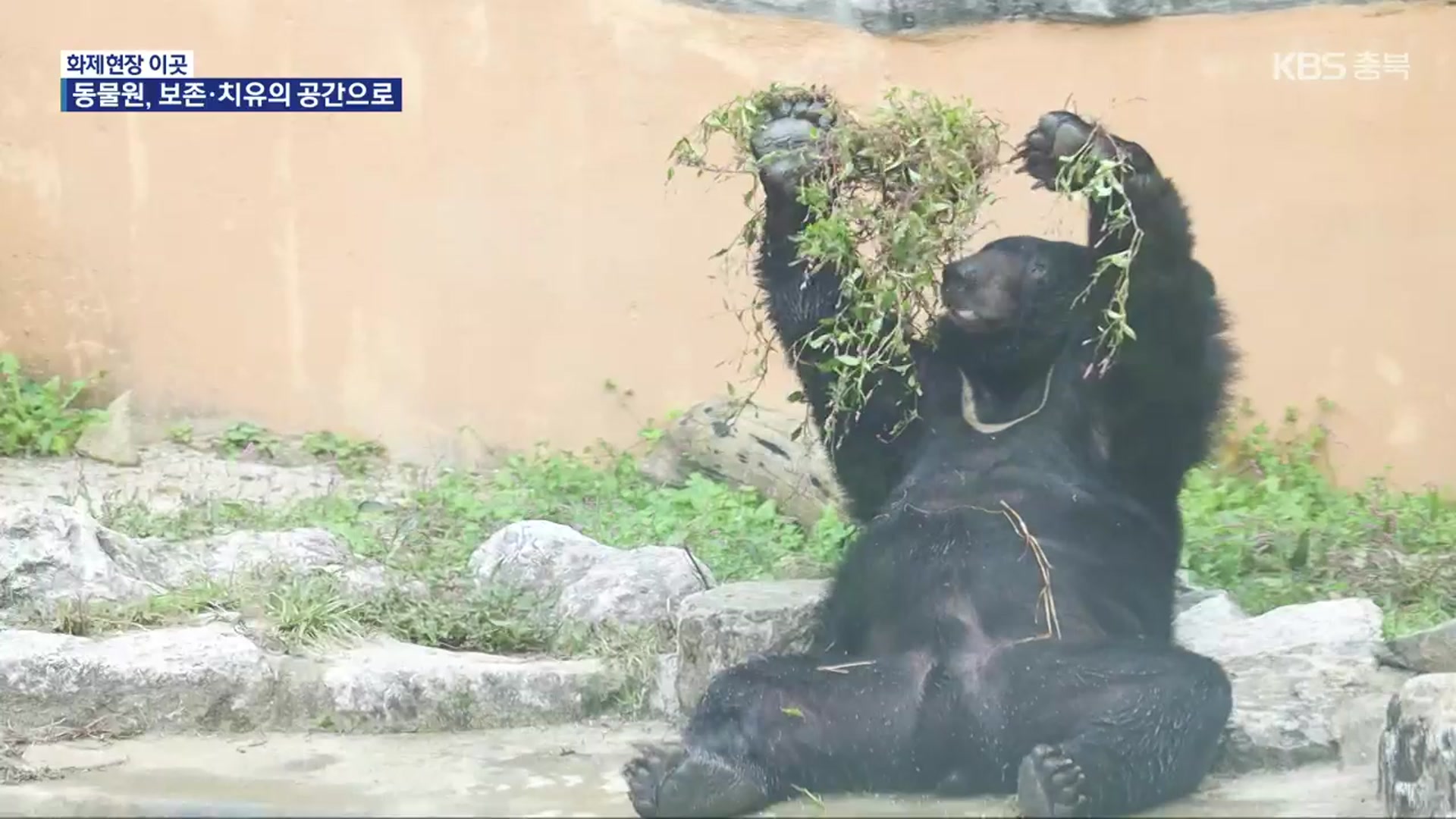 [화제현장 이곳] 청주 동물원, ‘동물 보호’ 위한 ‘생태 해설’ 운영