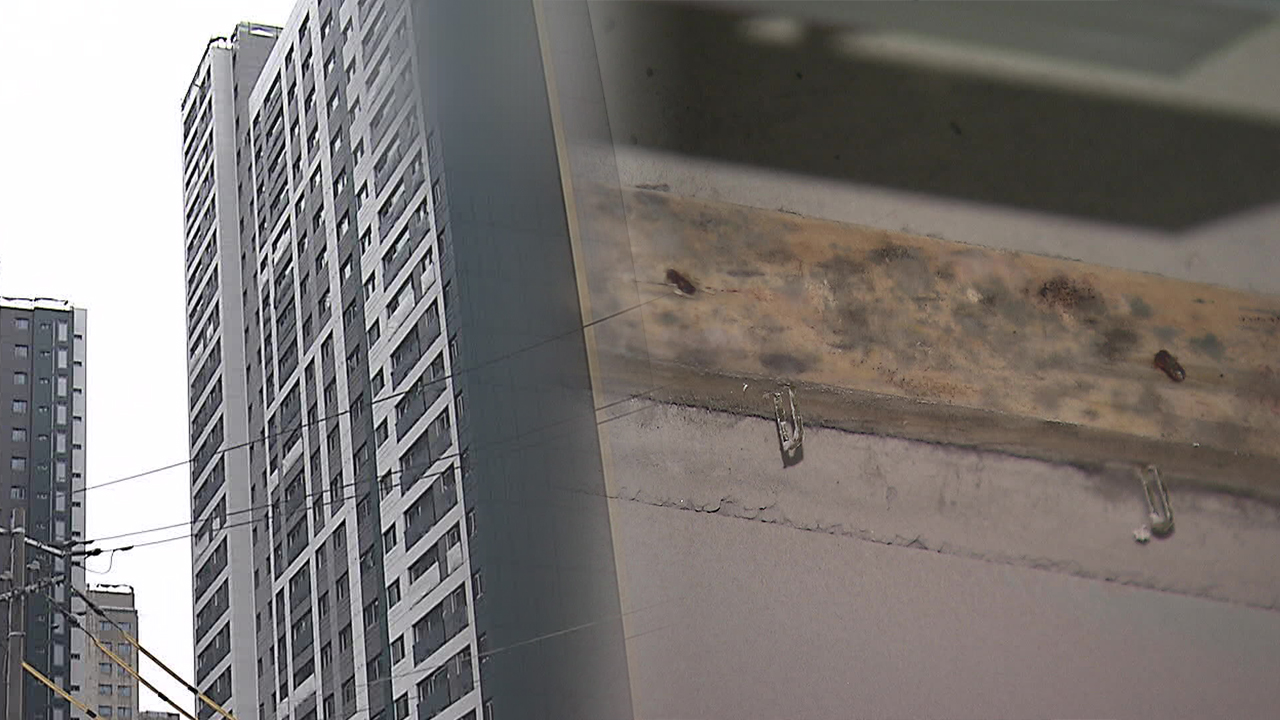 아파트 천장에 곰팡이 목재…공사 중단에 전면 재시공