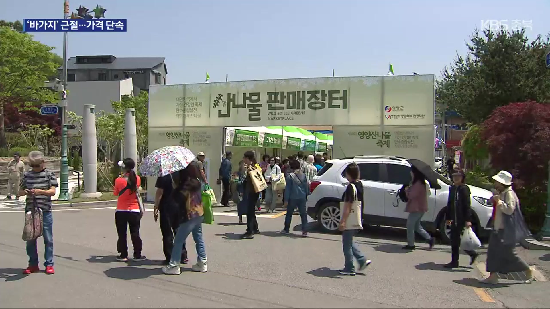 ‘바가지 논란’ 영양산나물축제 “올해는 착한 가격”