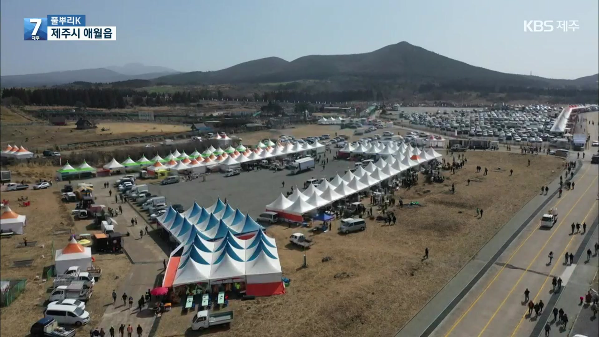 [풀뿌리K] 제주들불축제 ‘불 없는’ 콘텐츠 발굴