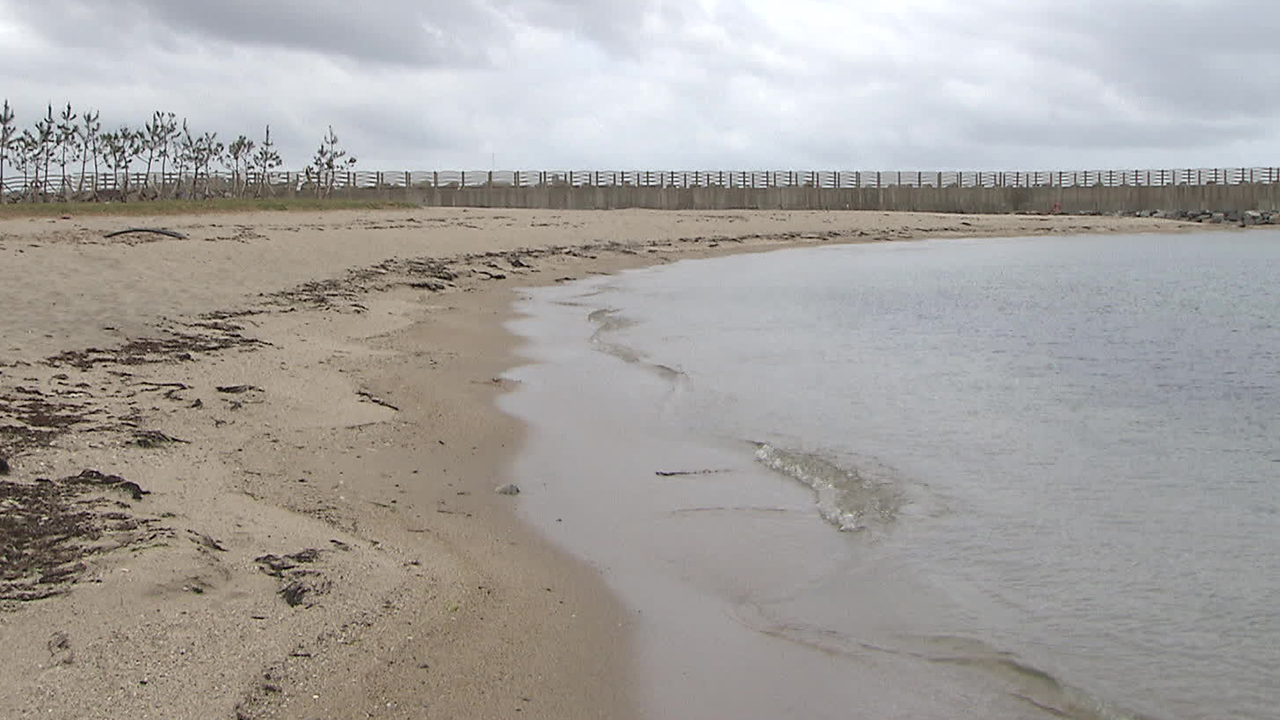 수백억 들이고도 여전한 해안 침식…“모래 이동 조사해야”